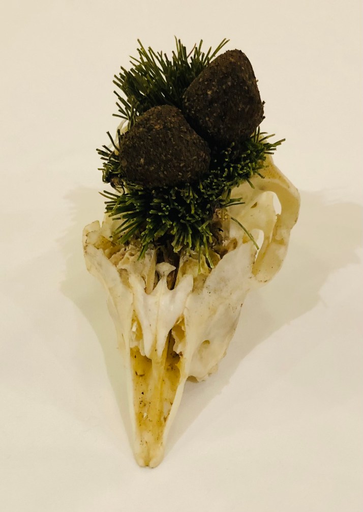 Trufas de Choto al Jerez-Restaurante Dama Juana-Jaén