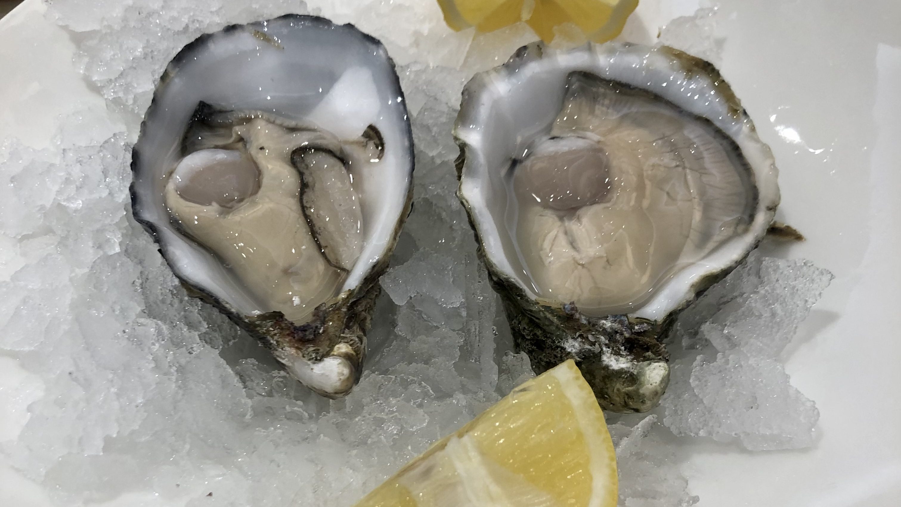 Ostras al natural-Marisquería Penalty-Talavera de la Reina