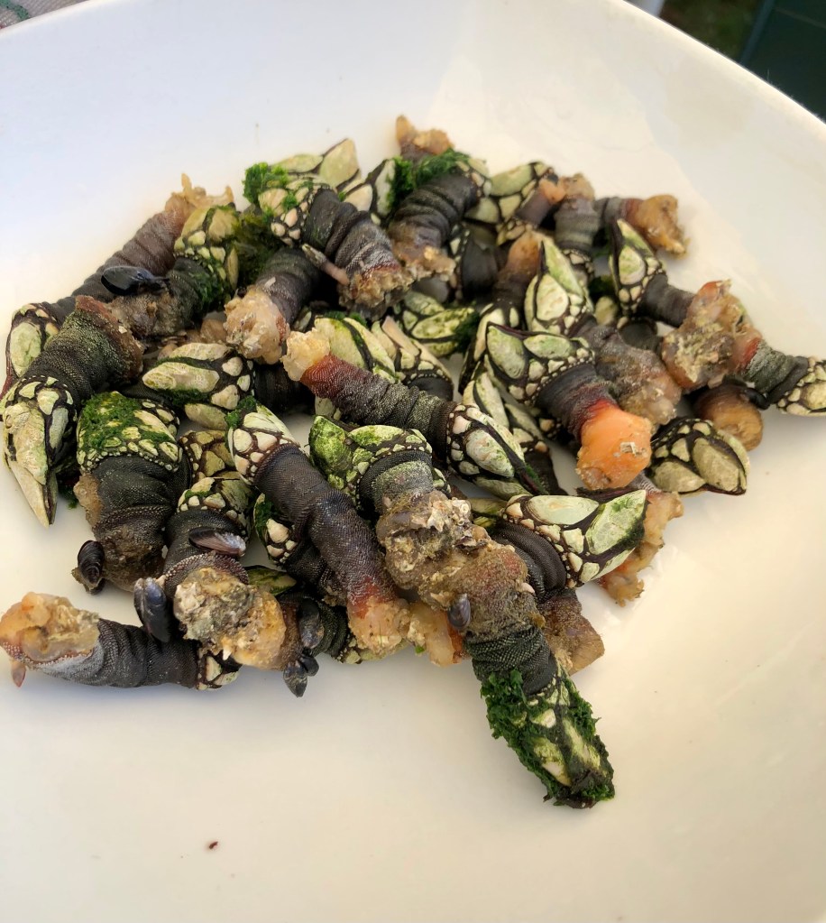 Percebes. Restaurante A Casa da Henriqueta